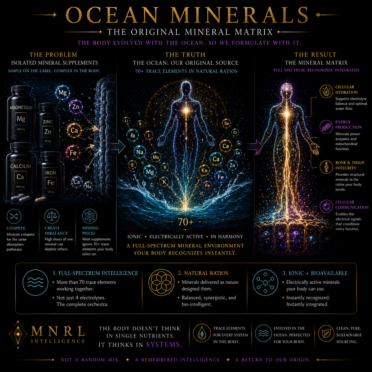 Ocean Minerals vs. Isolated Supplements: Why the Sea Still Knows More Than We Do