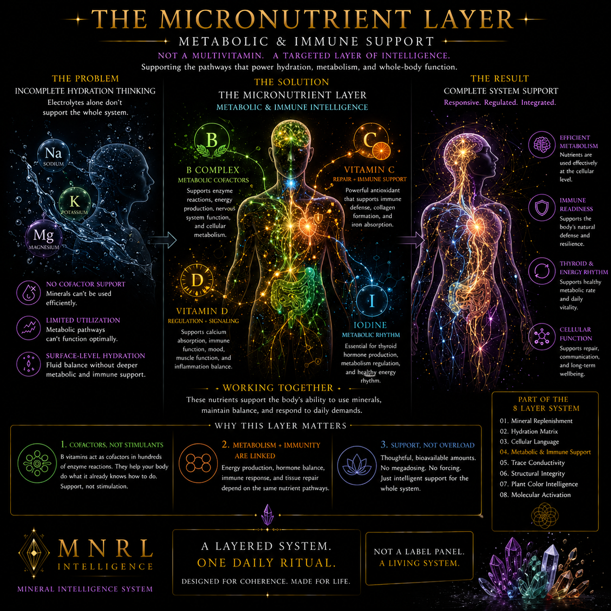 The Micronutrient Layer: Why Jewel Juice Includes B Vitamins, C, D, and Iodine