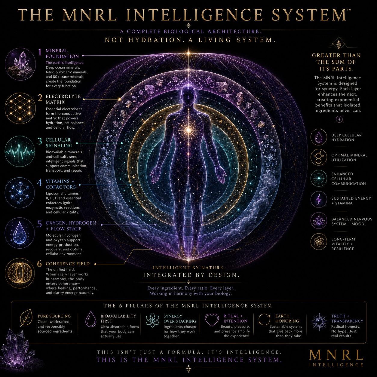 What is the Mineral Intelligence System?